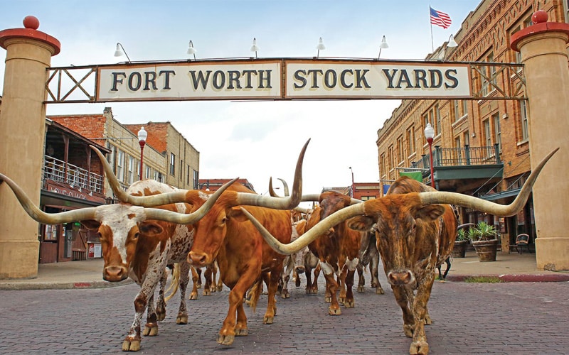 Web Design & B2B Digital Marketing Agency in Fort Worth, TX